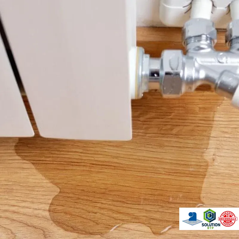 La détection de fuite d'eau a été opérée avec une précision qui m'a impressionnée. Je recommande sans hésiter leur service.